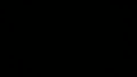 wholesomebull00 online show from July 2026 03:45:01 AM