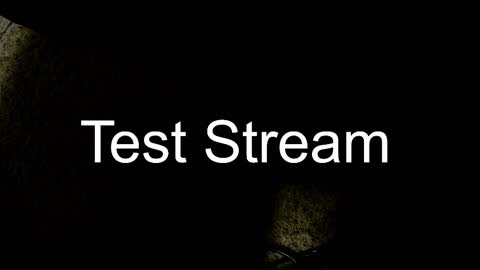 Snapshot of whowhat314159 chatting on October 2025 03:30:01 AM Will online show from October 2025 03:30:01 AM