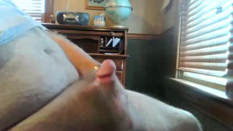 whydog online show from December 2024 04:14:01 PM