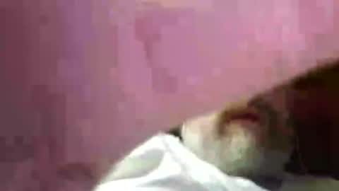 Snapshot of wickedwolfman69 chatting on July 2026 02:28:02 AM wickedwolfman69 online show from July 2026 02:28:02 AM