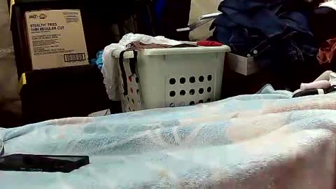 Ryder Harder online show from October 2025 12:16:01 PM