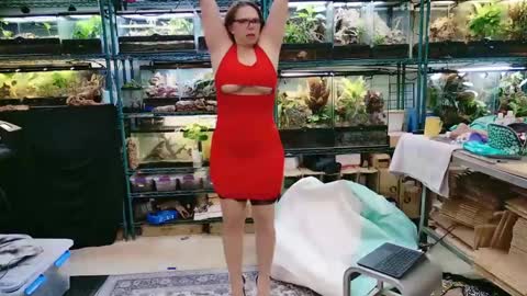 WifeNheels online show from April 2026 10:07:02 PM