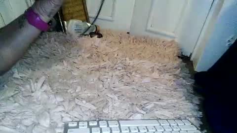 Wifeonly online show from July 2026 10:51:02 AM