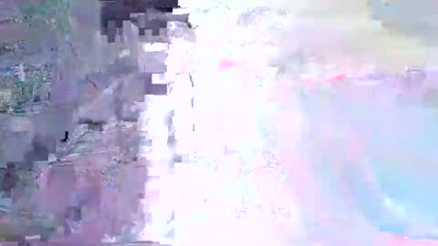 wild lemont online show from November 2025 11:34:01 AM