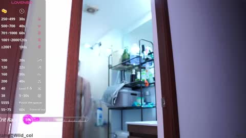 Snapshot of wild_col chatting on February 2025 11:54:02 PM wild_col online show from February 2025 11:54:02 PM