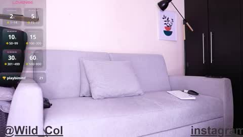 Snapshot of wild_col chatting on September 2025 11:28:01 PM wild_col online show from September 2025 11:28:01 PM