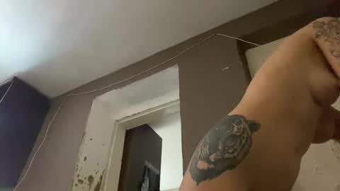 wildforestmuse  twitter online show from March 2026 07:36:02 AM