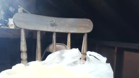 wildman6 online show from February 2025 08:53:02 PM