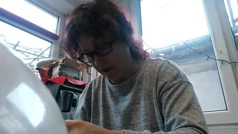 WildPersia online show from December 2024 08:53:02 AM