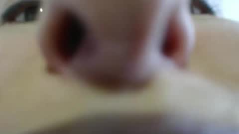 WildRose L - check my Pinned tweet if you dont see me online within 5 minutes after Ive sent email notifications online show from April 2026 10:07:02 PM