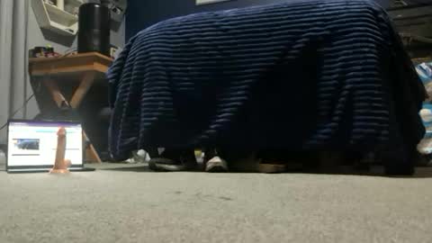 williambisexual online show from December 2025 12:40:01 AM