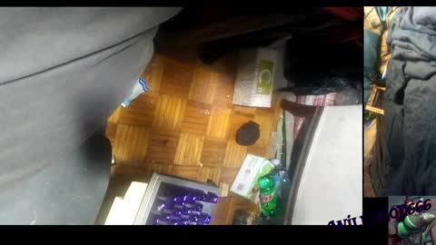 willisgod666 online show from December 2024 05:28:02 AM