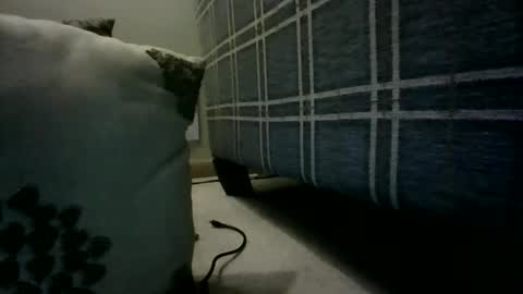 Willhedoher online show from March 2026 12:33:02 PM