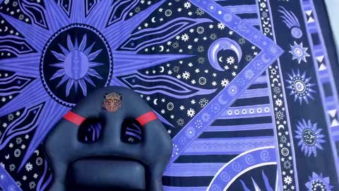 Snapshot of willy_veins chatting on December 2024 06:53:01 AM willy_veins online show from December 2024 06:53:01 AM