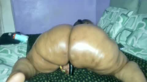 wilmaassylum online show from February 2026 06:34:01 AM