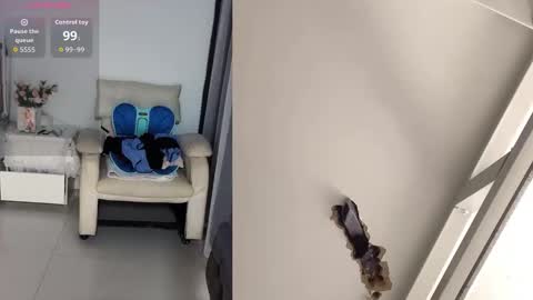 CN WEIWEI online show from March 2026 02:39:02 AM