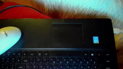 Snapshot of winter_miracle chatting on January 2025 07:36:02 AM Winter Miracle online show from January 2025 07:36:02 AM