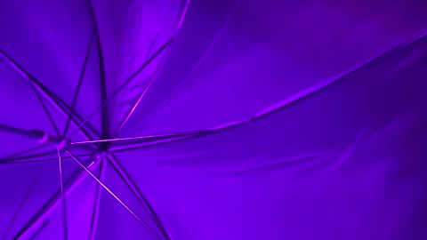 Wiz and Candy online show from January 2025 05:16:02 AM