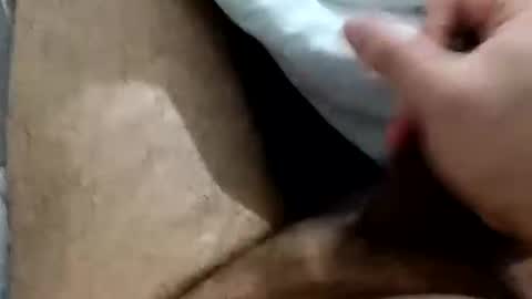 wolfganghanzel online show from April 2026 04:17:01 AM