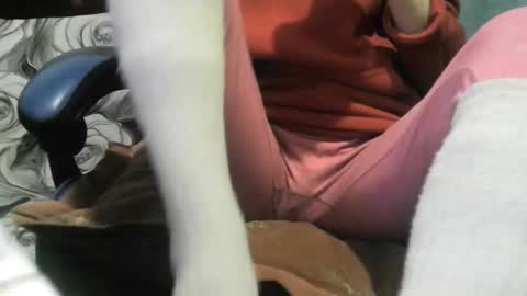 wolfxsnow online show from February 2026 10:49:02 AM