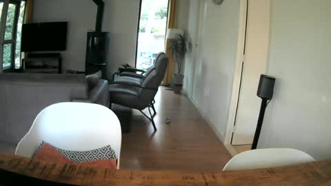 Snapshot of woodwurm chatting on June 2026 05:12:01 AM woodwurm and Snoeske online show from June 2026 05:12:01 AM