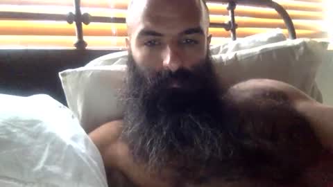 woof_wolf37 online show from February 2026 03:31:01 PM