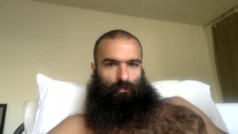 woof_wolf37 online show from April 2026 03:45:01 PM