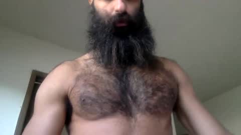 woof_wolf37 online show from April 2026 03:52:01 PM