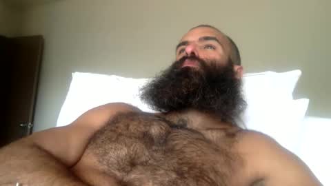 woof_wolf37 online show from April 2026 10:56:02 PM