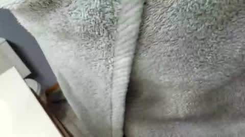 Snapshot of workingman6969 chatting on February 2025 09:37:02 PM workingman6969 online show from February 2025 09:37:02 PM