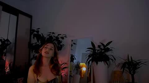 worldsbaby online show from December 2024 10:36:01 PM