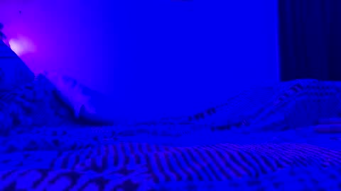 Snapshot of wowsers7 chatting on November 2025 08:03:01 AM wowsers7 online show from November 2025 08:03:01 AM