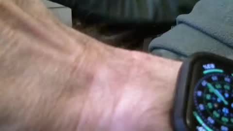 wrangleat0r online show from November 2025 09:20:02 PM