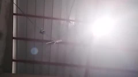 Snapshot of xasianbrowncockx chatting on February 2026 07:17:01 AM Bella Amor online show from February 2026 07:17:01 AM