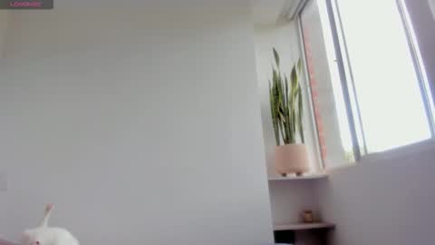 Snapshot of xavier_colleman chatting on January 2026 08:34:01 PM Xavier online show from January 2026 08:34:01 PM