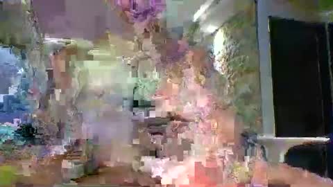 xavii31 online show from March 2026 01:44:01 AM