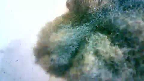 Snapshot of xenna610827 chatting on February 2025 06:50:02 AM xenna610827 online show from February 2025 06:50:02 AM