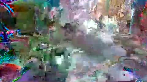 xixo6969 online show from April 2026 10:37:01 PM