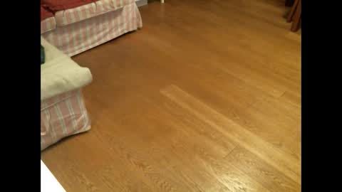 Snapshot of xmystiqdreamsx chatting on January 2025 12:01:01 PM xmystiqdreamsx online show from January 2025 12:01:01 PM