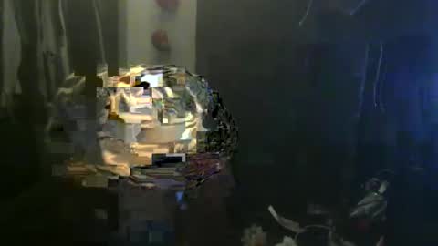 xoxisthisartxox online show from December 2024 09:57:02 AM