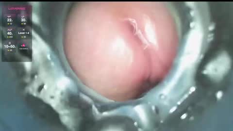 Snapshot of xoxowtf chatting on December 2024 03:54:02 PM xoxowtf online show from December 2024 03:54:02 PM