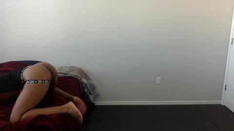 Snapshot of xxsexking chatting on May 2026 10:48:02 PM xxblackking online show from May 2026 10:48:02 PM