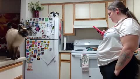 Strawberry Jane online show from December 2024 05:07:02 AM