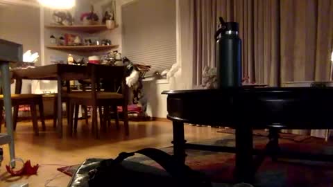 Snapshot of xxtina69x chatting on December 2024 03:37:02 AM yayalala online show from December 2024 03:37:02 AM