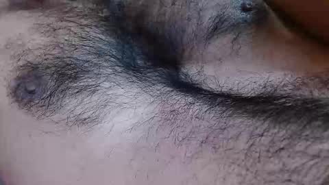 Prince online show from February 2026 05:56:01 PM