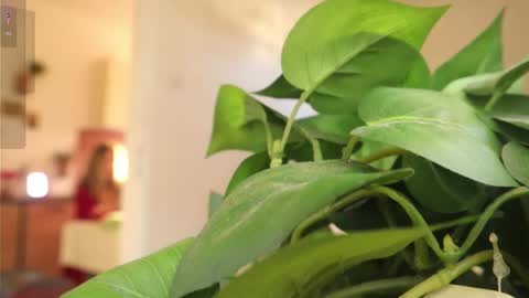 Snapshot of xxxoka chatting on March 2025 02:08:02 PM Xxxoka online show from March 2025 02:08:02 PM