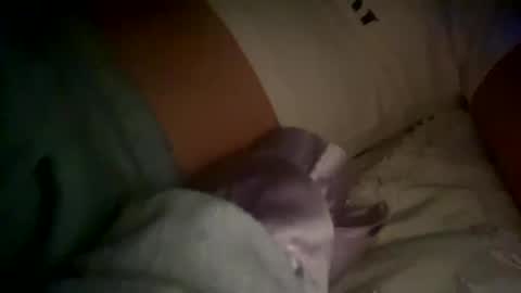 xxxsophiaday online show from October 2025 08:56:02 AM