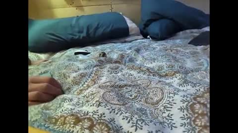 Snapshot of xzbib chatting on March 2025 12:29:01 AM Xzbib online show from March 2025 12:29:01 AM