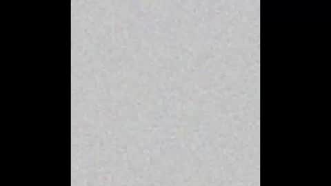 .     y e l l o w s n a k e s       . online show from October 2025 05:33:02 PM