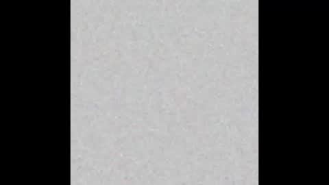 .     y e l l o w s n a k e s       . online show from December 2025 04:05:01 PM